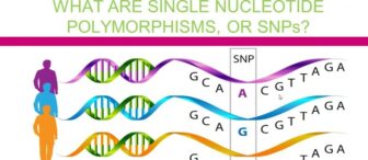 BRCA Genetics In The News: What Do I Do Next