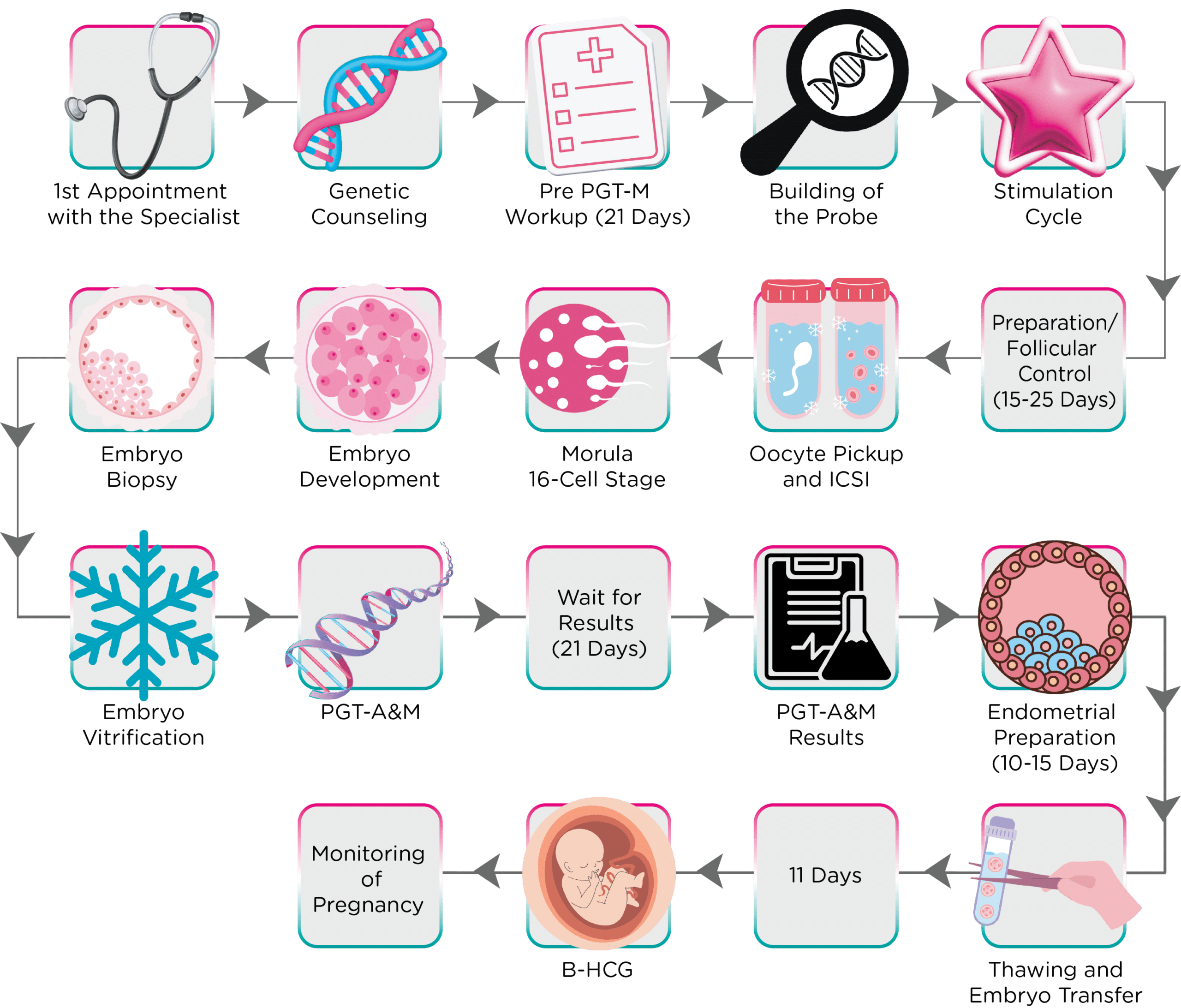 A flowchart illustrates the IVF process, showing steps from initial appointment, genetic counseling, embryo development, genetic testing, to embryo transfer, including icons for each stage and estimated timelines.