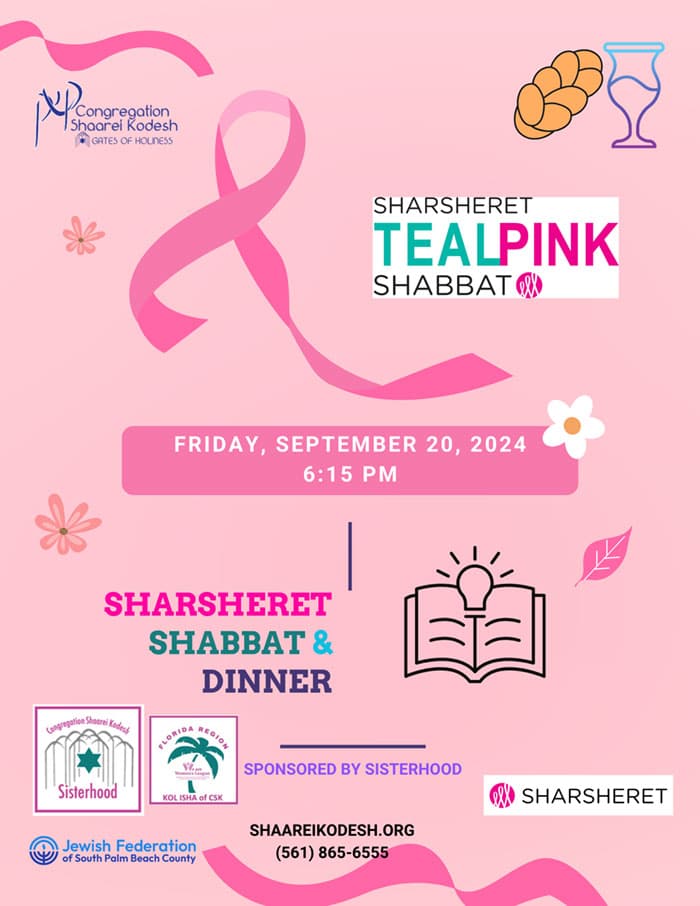 Sharsheret Teal and Pink Shabbat